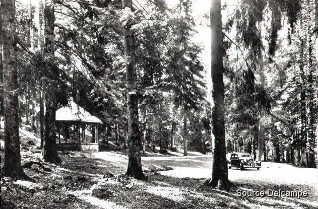 01 Oyonnax Foret de Sapins de la Brefouze.jpg